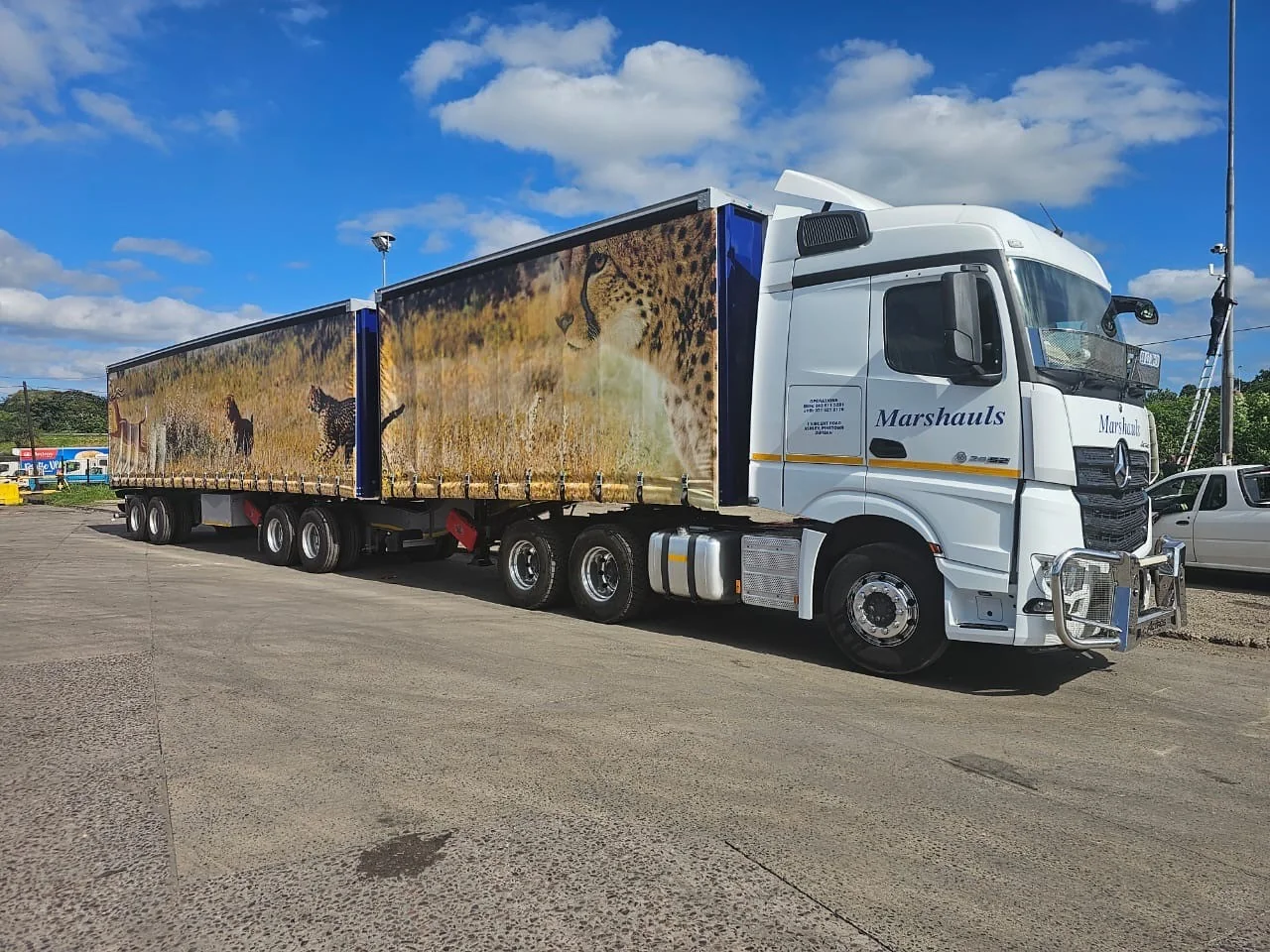 Marshauls Mercedes-Benz Actros with cheetah wildlife livery