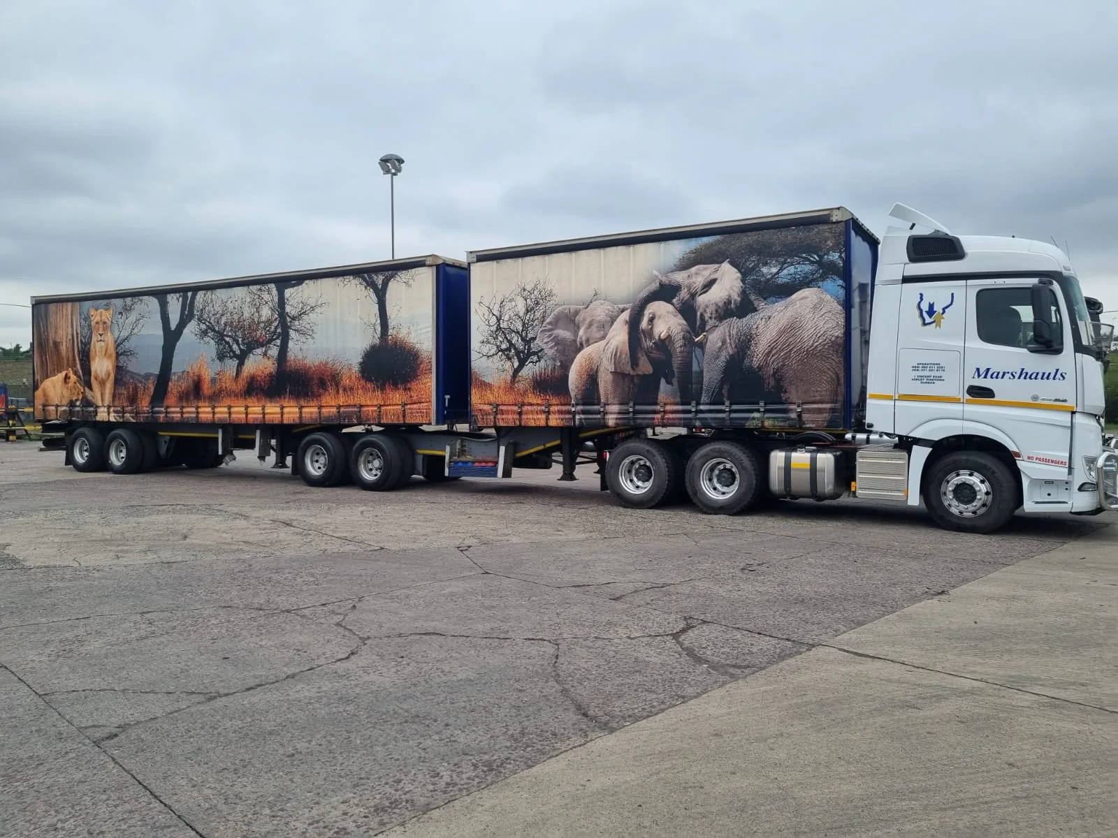 Marshauls lion livery truck